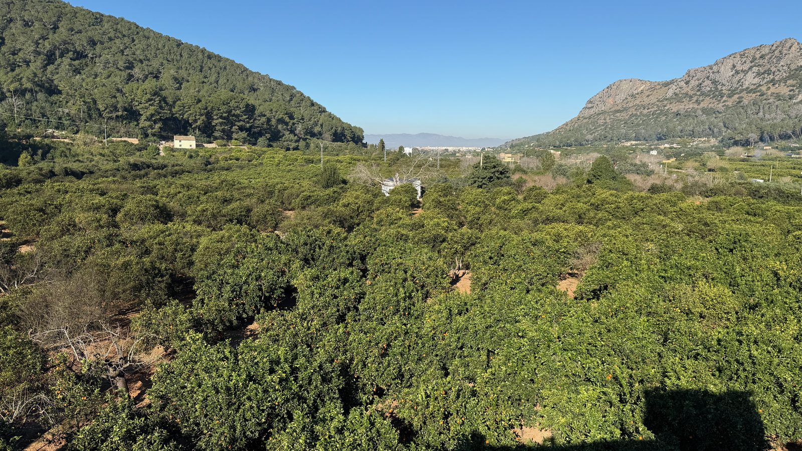 Panoramisch uitzicht over Valle de la Casella, Alzira